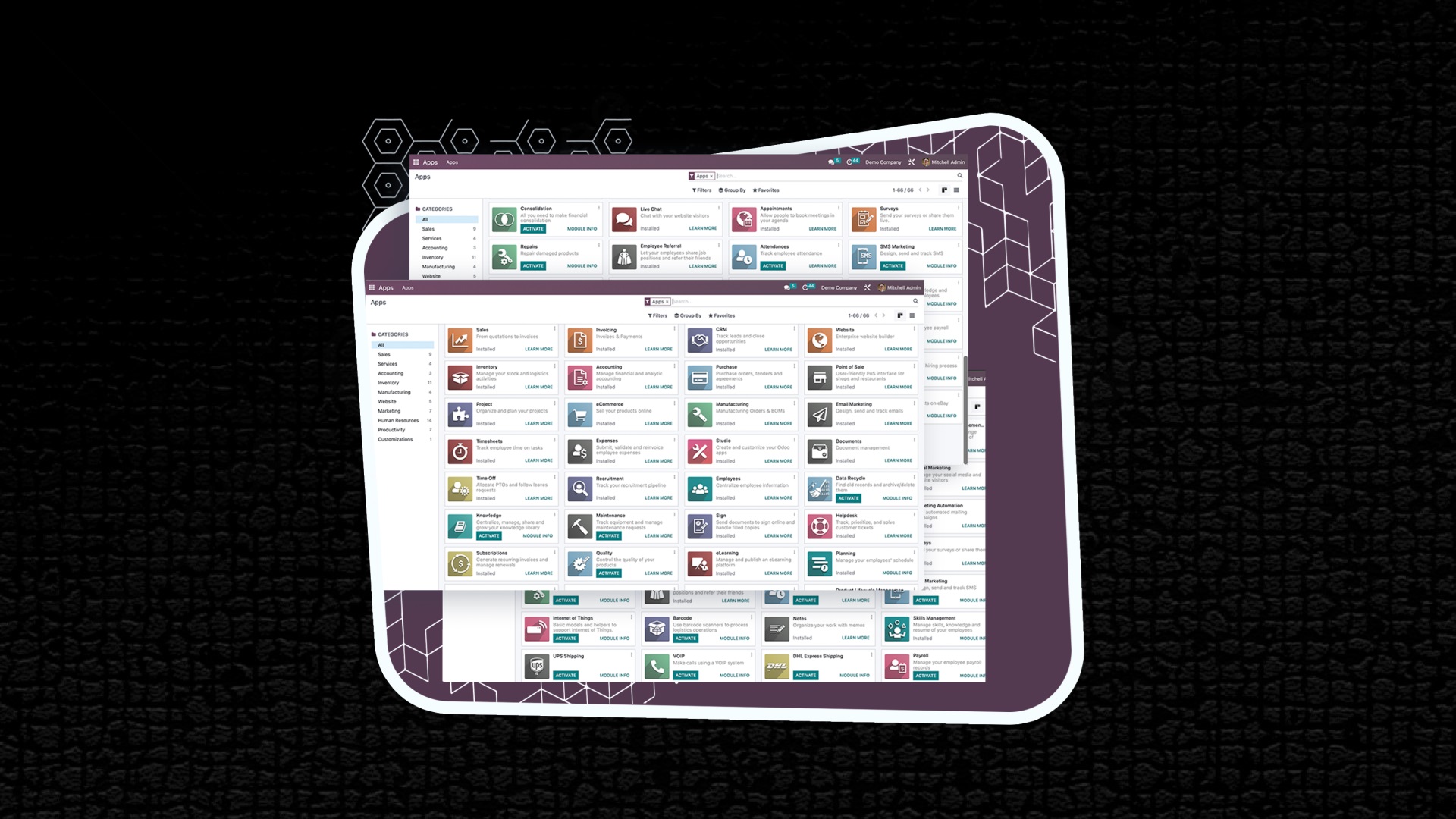 Enterprise Systems Implementation (ERP / Odoo / Dynamics 365)